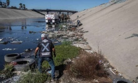 A limpiar el Río: ante posibles lluvias por “El Niño”, arrancan limpieza preventiva del Río Tijuana